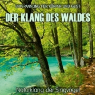Audio Der Klang des Waldes - Naturklang der Singvögel, Audio-CD Electric Air Project
