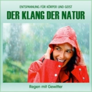 Audio Der Klang der Natur - Regen mit Gewitter, Audio-CD Electric Air Project