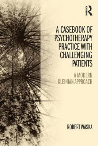 Carte Casebook of Psychotherapy Practice with Challenging Patients Robert Waska