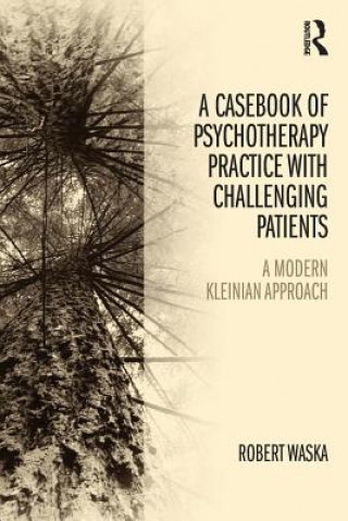 Kniha Casebook of Psychotherapy Practice with Challenging Patients Robert Waska