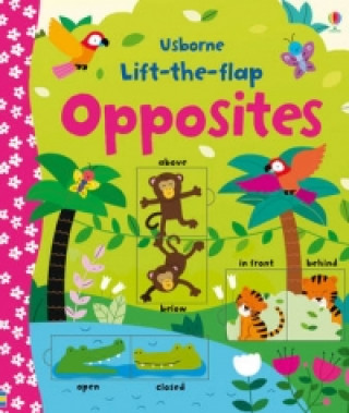 Книга Lift-the-flap Opposites Felicity Brooks