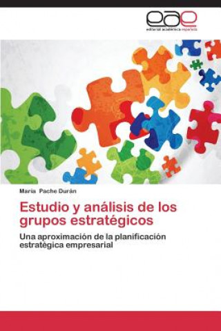 Knjiga Estudio y analisis de los grupos estrategicos Pache Duran Maria