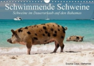 Calendar / Agendă Schwimmende Schweine / Geburtstagskalender (Wandkalender immerwährend DIN A4 quer) Elisabeth Stanzer