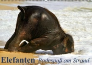 Kalendář/Diář Elefanten - Badespaß am Strand (Wandkalender immerwährend DIN A2 quer) Elisabeth Stanzer