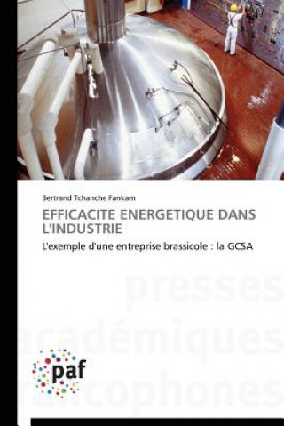 Kniha Efficacite Energetique Dans l'Industrie Fankam-B