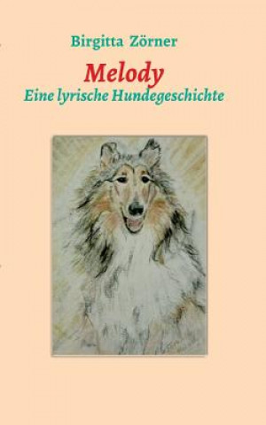 Boek Melody Birgitta Zorner