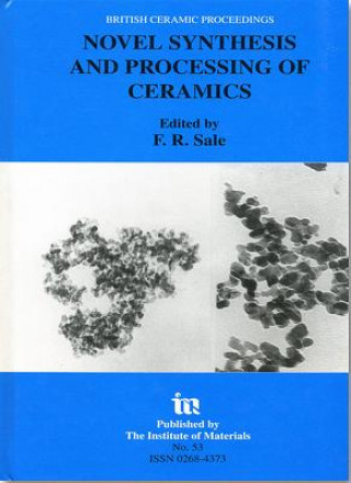 Kniha Novel Synthesis and Processing of Ceramics 