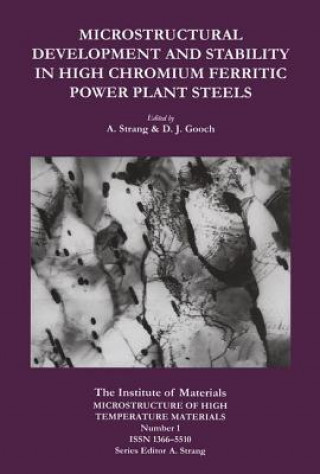 Kniha Microstructural Development and Stability in High Chromium Ferritic Power Plant Steels Andrew Strang