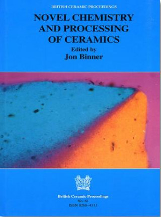 Könyv Novel Chemistry and Processing of Ceramics 