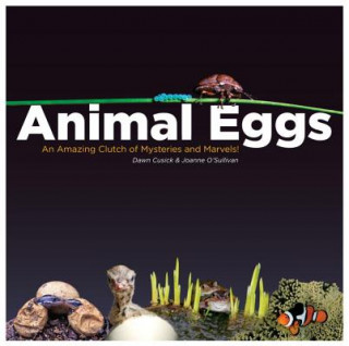 Könyv Animal Eggs Dawn Cusick