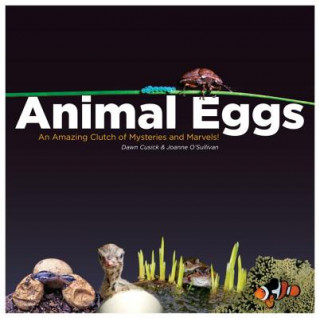 Libro Animal Eggs Dawn Cusick