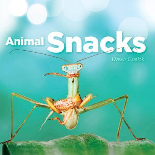 Könyv Animal Snacks Dawn Cusick