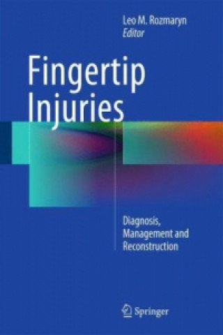 Kniha Fingertip Injuries Leo M. Rozmaryn