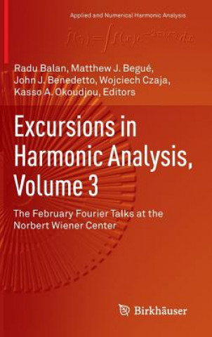 Könyv Excursions in Harmonic Analysis, Volume 3 Radu Balan
