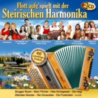 Audio Flott aufg'spielt mit der Steirischen Harmonika, 2 Audio-CDs Various