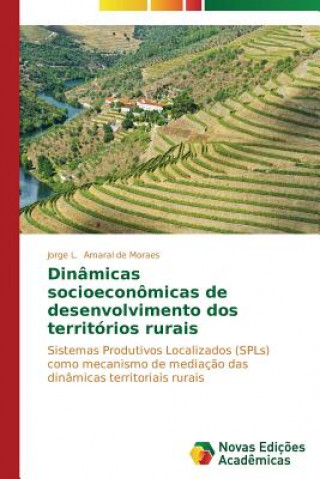 Carte Dinamicas socioeconomicas de desenvolvimento dos territorios rurais Amaral De Moraes Jorge L