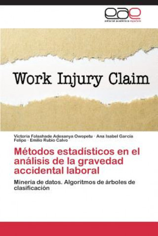 Buch Metodos estadisticos en el analisis de la gravedad accidental laboral Adesanya Owopetu Victoria Folashade