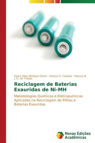 Carte Reciclagem de Baterias Exauridas de Ni-MH Morbach Dixini Pedro Vitor