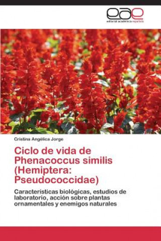 Carte Ciclo de vida de Phenacoccus similis (Hemiptera Jorge Cristina Angelica