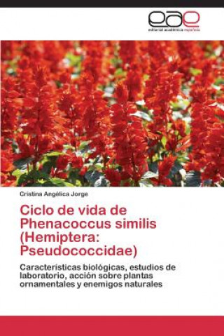 Kniha Ciclo de vida de Phenacoccus similis (Hemiptera Jorge Cristina Angelica