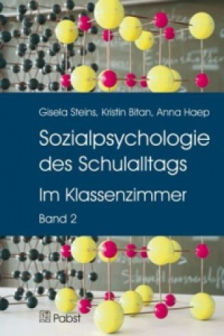 Carte Sozialpsychologie des Schulalltags. Bd.2 Gisela Steins
