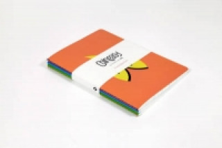 Carte Chineasy (TM): Set of 3 A5 Notebooks ShaoLan
