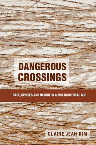 Könyv Dangerous Crossings Claire Jean Kim