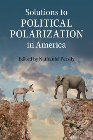 Knjiga Solutions to Political Polarization in America Nathaniel Persily