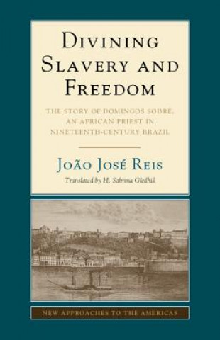 Könyv Divining Slavery and Freedom 