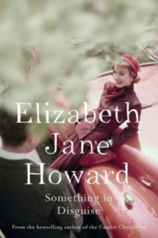 Книга Something in Disguise Howard Elizabeth Jane