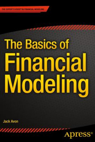 Kniha Basics of Financial Modeling Jack Avon