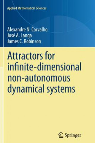 Buch Attractors for infinite-dimensional non-autonomous dynamical systems Alexandre Carvalho