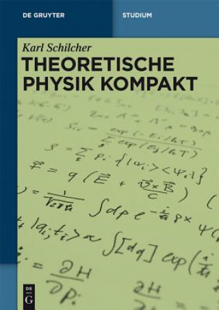 Buch Theoretische Physik kompakt Karl Schilcher