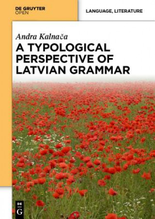 Könyv Typological Perspective on Latvian Grammar Andra Kalnaca