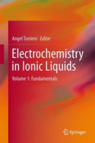 Könyv Electrochemistry in Ionic Liquids Angel A. J. Torriero
