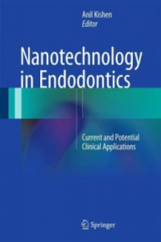 Könyv Nanotechnology in Endodontics Anil Kishen