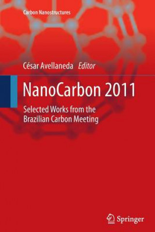 Książka NanoCarbon 2011 César Avellaneda