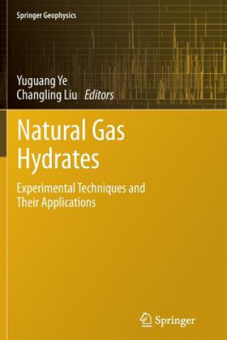 Könyv Natural Gas Hydrates Changling Liu
