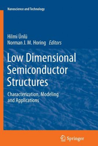 Livro Low Dimensional Semiconductor Structures Norman J. M. Horing