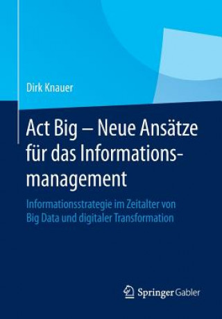 Kniha ACT Big - Neue Ansatze Fur Das Informationsmanagement Dirk Knauer