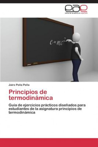 Könyv Principios de termodinamica Pena Pena Jairo