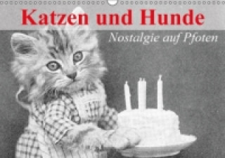 Kalendár/Diár Katzen und Hunde - Nostalgie auf Pfoten (Wandkalender immerwährend DIN A3 quer) Elisabeth Stanzer