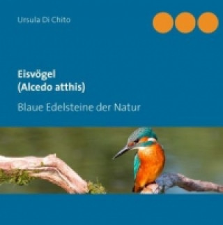 Kniha Eisvögel (Alcedo atthis) Ursula Di Chito