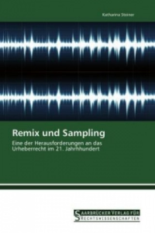 Könyv Remix und Sampling Katharina Steiner