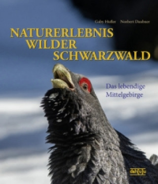 Könyv Naturerlebnis wilder Schwarzwald Gaby Hufler