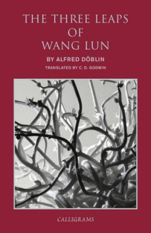 Kniha Three Leaps Of Wang Lun Alfred Döblin