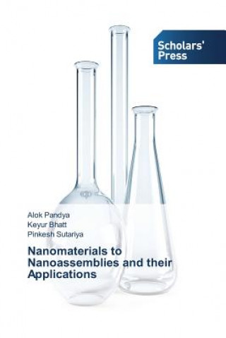 Könyv Nanomaterials to Nanoassemblies and their Applications Pandya Alok