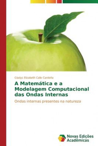 Knjiga Matematica e a Modelagem Computacional das Ondas Internas Calle Cardena Gladys Elizabeth