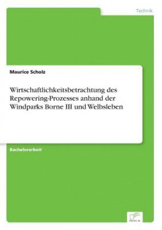 Könyv Wirtschaftlichkeitsbetrachtung des Repowering-Prozesses anhand der Windparks Borne III und Welbsleben Maurice Scholz