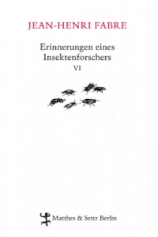 Könyv Erinnerungen eines Insektenforschers. Bd.7 Jean-Henri Fabre